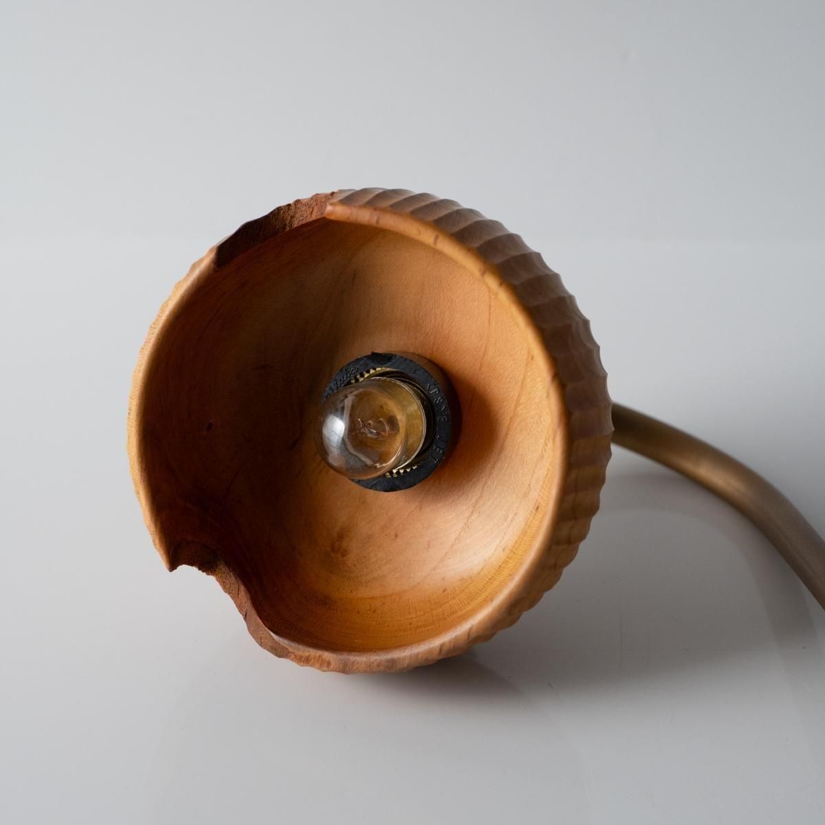 ʹΡͳڹ hitotokiˡȡߥ饫