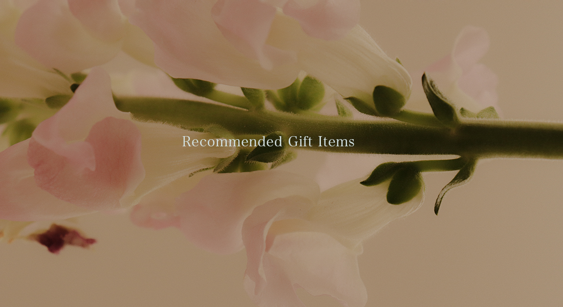  Recommended Gift Items 