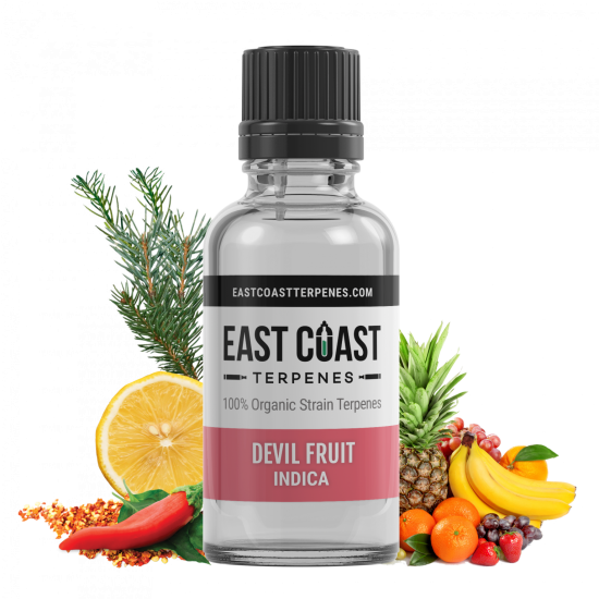 Devil Fruit Terpene Liquidizer テルペン 植物由来 - HHCP THCH