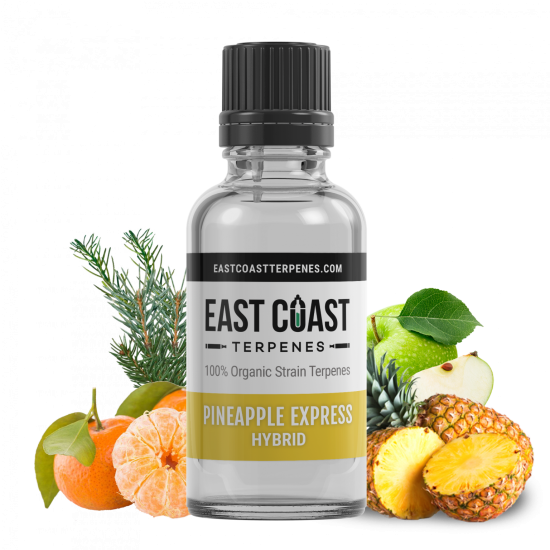 Pineapple Express Liquidizer テルペン 植物由来 - HHCP THCH