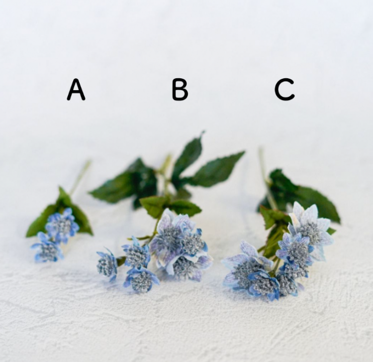 <img class='new_mark_img1' src='https://img.shop-pro.jp/img/new/icons6.gif' style='border:none;display:inline;margin:0px;padding:0px;width:auto;' />ȥƥ 忧 ޤ Single Flower  ¤ ƥեե 