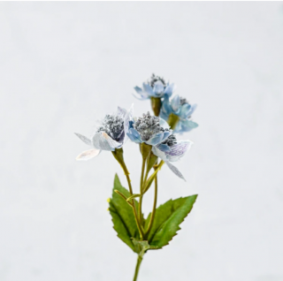 <img class='new_mark_img1' src='https://img.shop-pro.jp/img/new/icons6.gif' style='border:none;display:inline;margin:0px;padding:0px;width:auto;' />ȥƥ 忧 ޤ Single Flower  ¤ ƥեե 