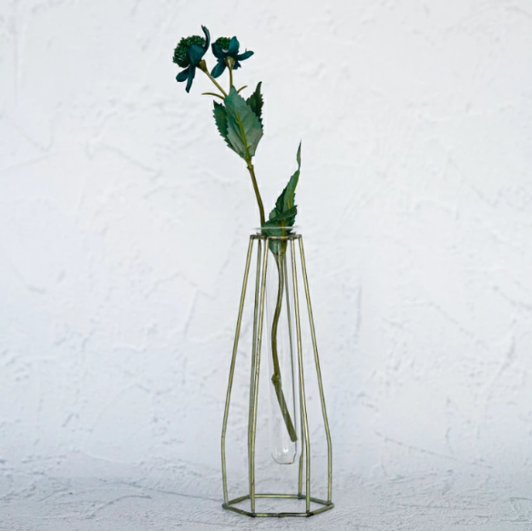 <img class='new_mark_img1' src='https://img.shop-pro.jp/img/new/icons6.gif' style='border:none;display:inline;margin:0px;padding:0px;width:auto;' />ȥƥ  ޤ Single Flower  ¤ ƥեե 