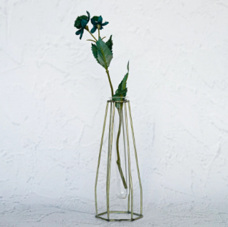 <img class='new_mark_img1' src='https://img.shop-pro.jp/img/new/icons6.gif' style='border:none;display:inline;margin:0px;padding:0px;width:auto;' />ȥƥ  ޤ Single Flower  ¤ ƥեե 