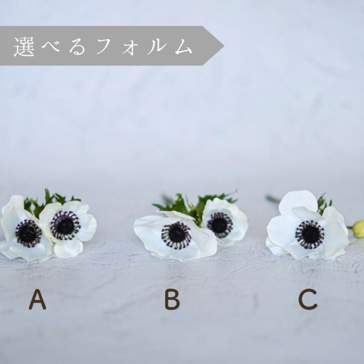 <img class='new_mark_img1' src='https://img.shop-pro.jp/img/new/icons6.gif' style='border:none;display:inline;margin:0px;padding:0px;width:auto;' />Soleilʥ쥤 ͥ  դޤ ե١ åȡSingle Flower  ¤ ƥեե ƥꥢ