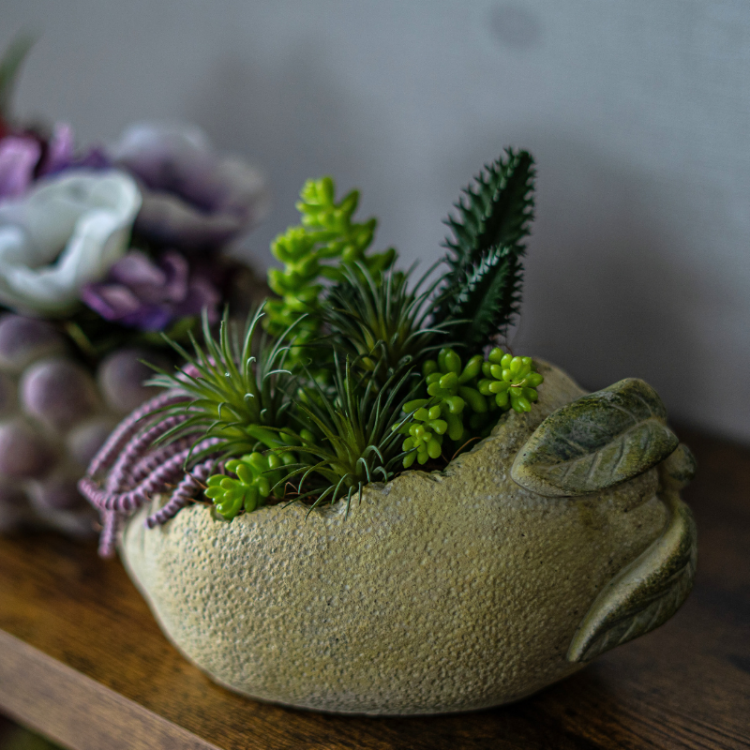 <img class='new_mark_img1' src='https://img.shop-pro.jp/img/new/icons6.gif' style='border:none;display:inline;margin:0px;padding:0px;width:auto;' />ե롼ĥ󥸥  ֤ɤ   ӥ󥸥 ¤ ƥեե ֥ɥ 