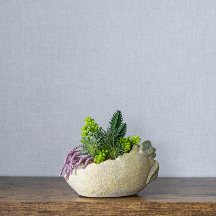 <img class='new_mark_img1' src='https://img.shop-pro.jp/img/new/icons6.gif' style='border:none;display:inline;margin:0px;padding:0px;width:auto;' />ե롼ĥ󥸥  ֤ɤ   ӥ󥸥 ¤ ƥեե ֥ɥ 