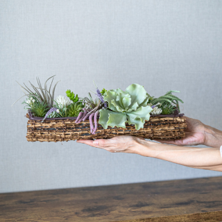 <img class='new_mark_img1' src='https://img.shop-pro.jp/img/new/icons6.gif' style='border:none;display:inline;margin:0px;padding:0px;width:auto;' />¿ʪȥ٥Υܥ˥Хå ӥ󥸥 ¤ ƥեե Хå ¿ʪ