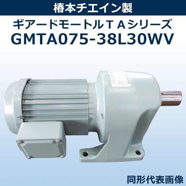 GMTA075-38L30WV 【0.75Kw×4P 1/30 400V 屋外】 ｜ 椿本チエイン製 ｜ モーター