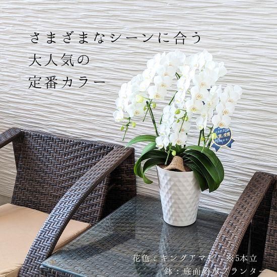 金縁花模様蘭鉢 shouzanen_10003616