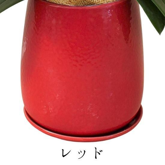 中鉢　マルティン・ハヌシュ 輪花6寸鉢 ガラス貫入釉 全3色 | 萩焼窯元 松光山