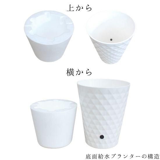 熟成胡蝶蘭 シャイニーピンク 3本立 27輪～ 底面給水プランター
