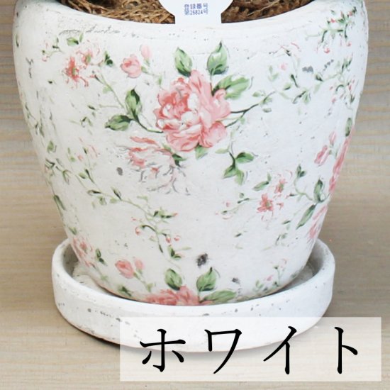 ミディ胡蝶蘭 ピンク系 2本立 パステルローズ鉢(11)