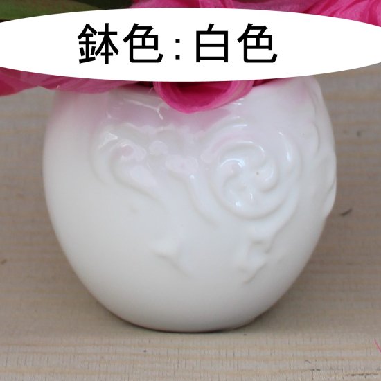リ・アン胡蝶蘭 1本立 ドット柄ペーパーラグジュアリーパッケージ 陶器鉢(6)