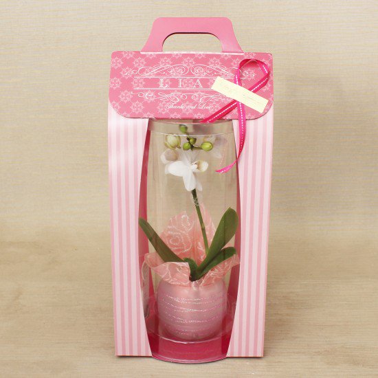 リ・アン胡蝶蘭 1本立 濃ピンク ペーパーラグジュアリーパッケージ ガラス鉢(6)