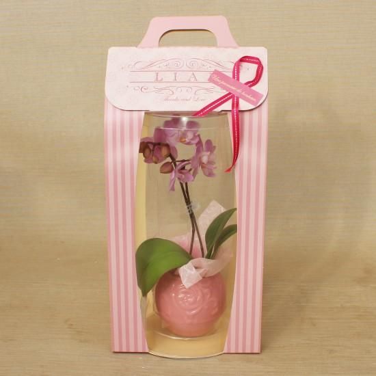 ゆらりん①✨プリンス・エドワード島✨赤土製✨手作り✨陶器ランプ ゆらりん①✨プリンス・エドワード島✨赤土製✨手作り✨陶器