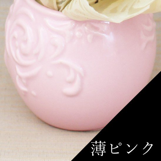 リ・アン胡蝶蘭 1本立 ラグジュアリーパッケージ（ピンク） 陶器鉢(11)