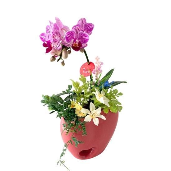 ルン【シープボア】バードテント＊春花　2点 ルン様専用【シープボア】バードテント＊春花 2点