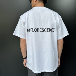 <img class='new_mark_img1' src='https://img.shop-pro.jp/img/new/icons1.gif' style='border:none;display:inline;margin:0px;padding:0px;width:auto;' />EFFLORESCENCET-SHIRT KASURE