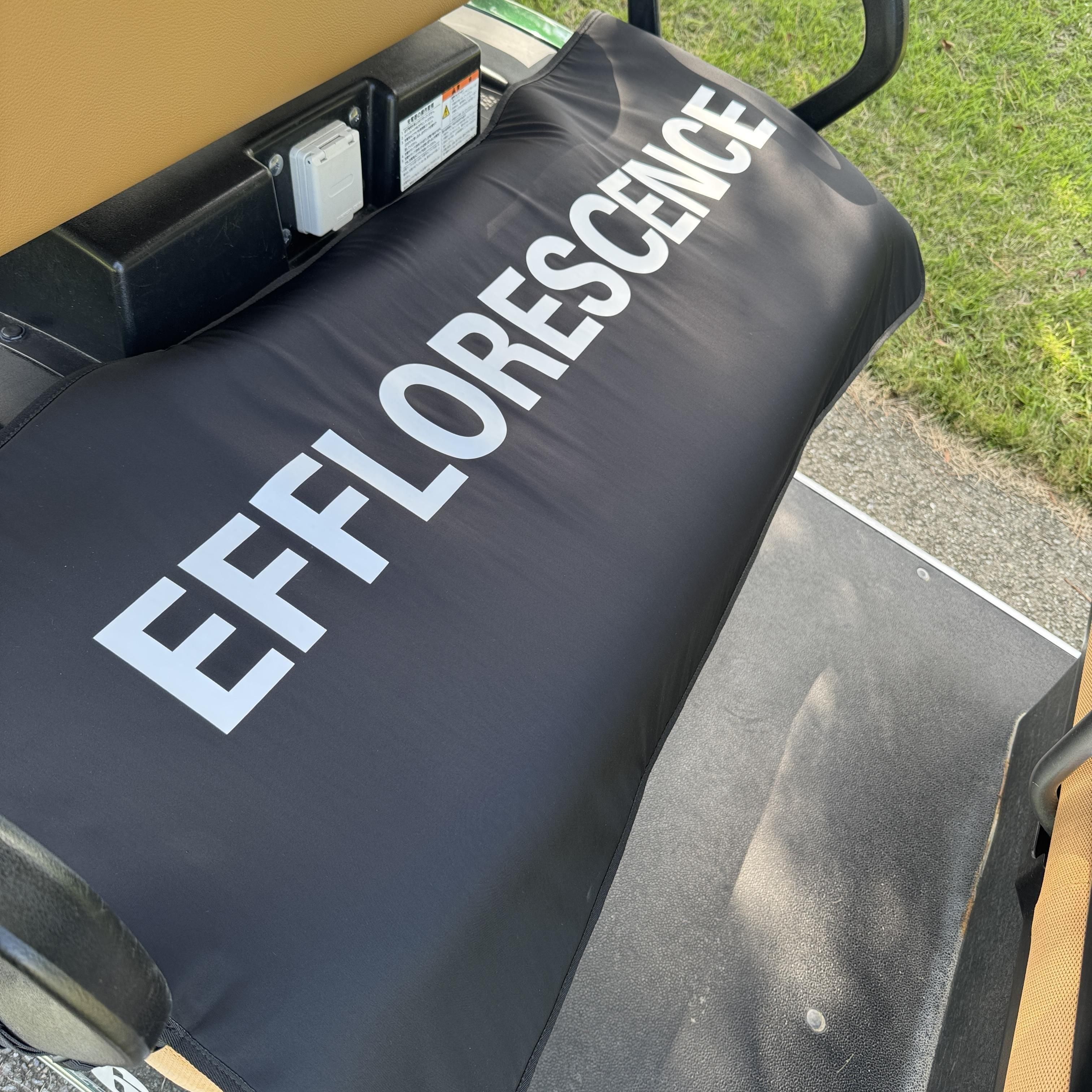 <img class='new_mark_img1' src='https://img.shop-pro.jp/img/new/icons1.gif' style='border:none;display:inline;margin:0px;padding:0px;width:auto;' />EFFLORESCENCECART SEAT COVER