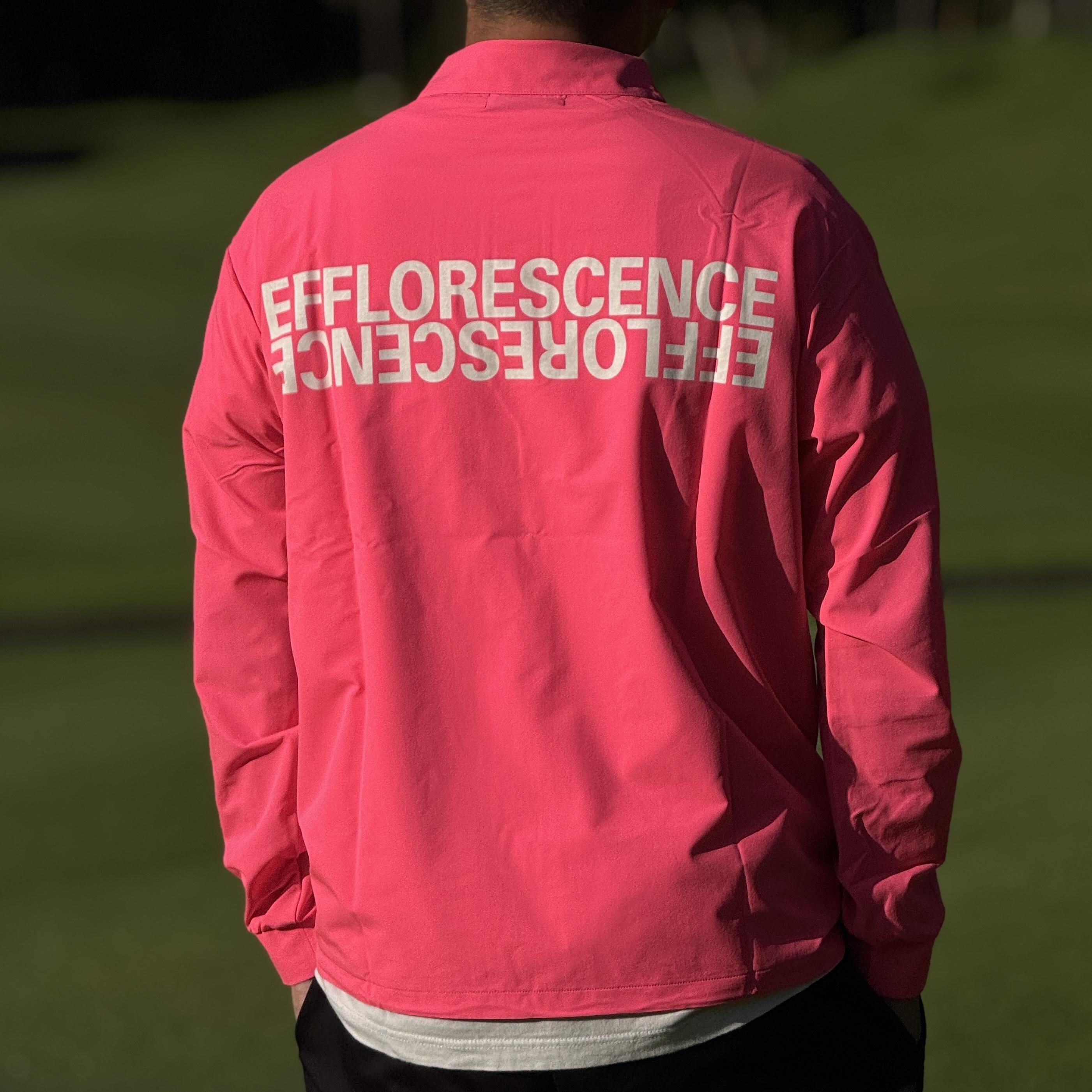 <img class='new_mark_img1' src='https://img.shop-pro.jp/img/new/icons1.gif' style='border:none;display:inline;margin:0px;padding:0px;width:auto;' />EFFLORESCENCEUP SIDE DOWN LOGO SHIRTS