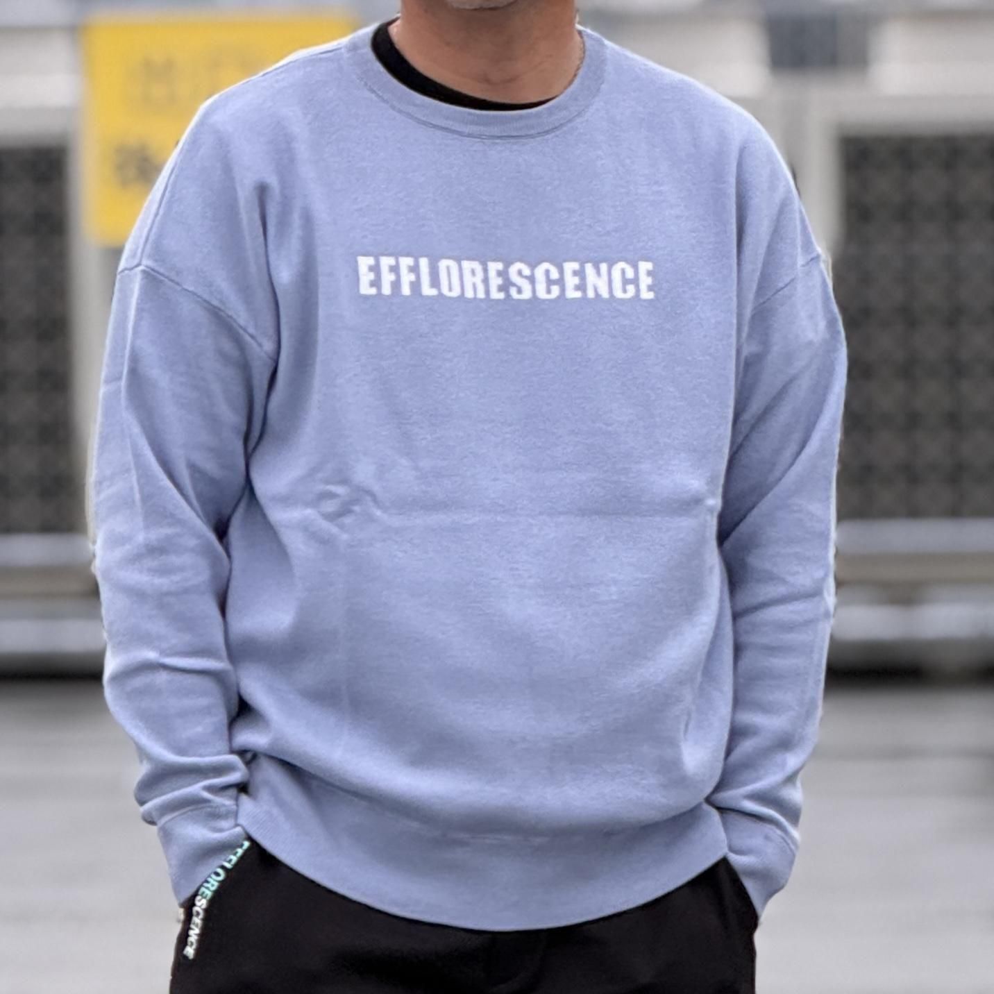 <img class='new_mark_img1' src='https://img.shop-pro.jp/img/new/icons1.gif' style='border:none;display:inline;margin:0px;padding:0px;width:auto;' />EFFLORESCENCECOTTON SWEATER