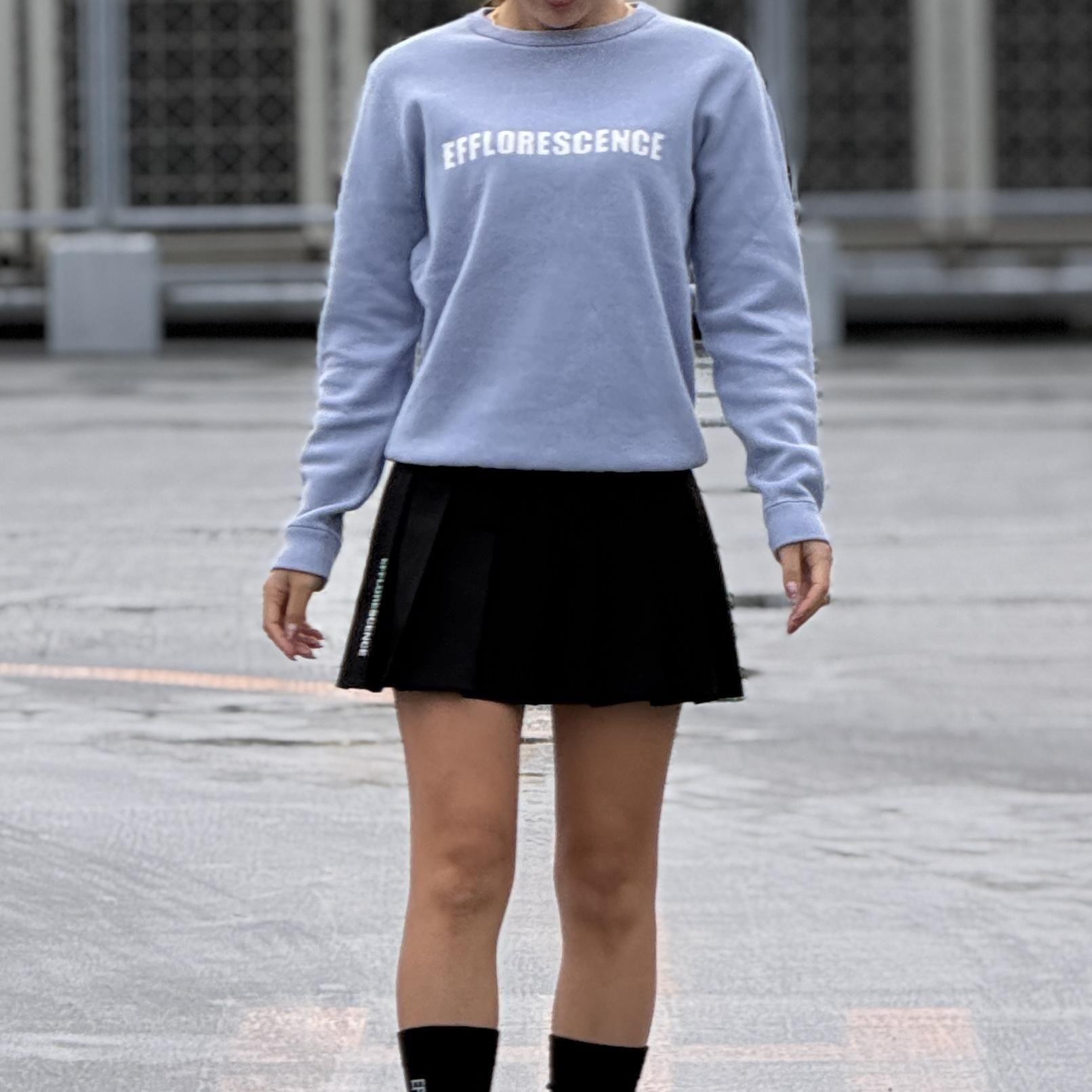 <img class='new_mark_img1' src='https://img.shop-pro.jp/img/new/icons1.gif' style='border:none;display:inline;margin:0px;padding:0px;width:auto;' />EFFLORESCENCEPLEATED SKIRT