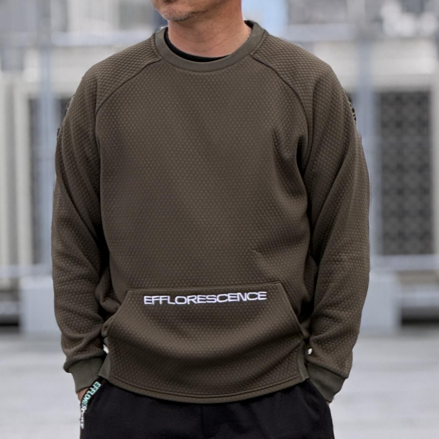 <img class='new_mark_img1' src='https://img.shop-pro.jp/img/new/icons1.gif' style='border:none;display:inline;margin:0px;padding:0px;width:auto;' />EFFLORESCENCEQUILTING PULLOVER