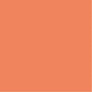 ƥå ѻR 4100 NC213-4  NC213-4