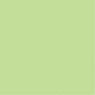 ƥå ѻR 4100 NC243-4 狼 NC243-4