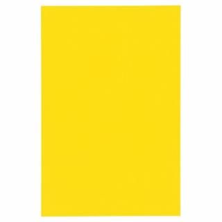 祤ƥå ޥͥåȥȥ磻ɥĥ̵  B209J-Y B209J-Y