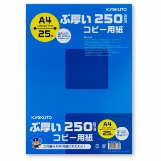 祯ȥ ָԡѻ PPC250A4 PPC250A4