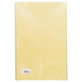 ��Ʋ �緿����ե�����A3�ޥ��դ�10��ѥå�*10 3853(10)