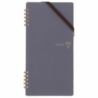 �ץ饹 �������ꥨ ���A4��1��3 ���� RT-650GC