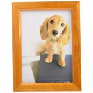 ե顼 ̿Ω Mt-K2 ֥饦 MT-K2