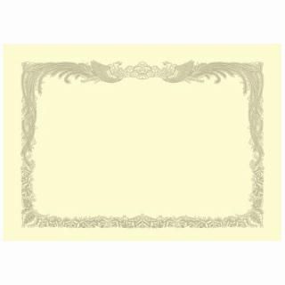 スマートバリュー OA賞状用紙クリーム縦書用A3 10枚 N148J N148J