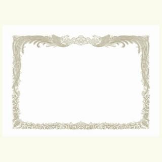 スマートバリュー OA賞状用紙白縦書用A4 10枚 N146J N146J