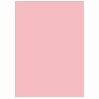 ̱ۥݥ졼 եѻ楫顼R100 A4ԥ500*5 ؎ ˎߎݎA4