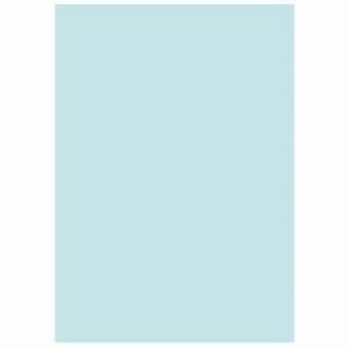 ̱ۥݥ졼 եѻ楫顼R100 A4֥롼500*5 ؎ ̎ގَA4