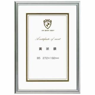 �����ȥץ��ȥ���ѥ� �饤�ȥե졼��޾��ۥ���С�B5 20285638 0020285638