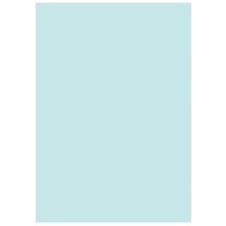 �̱ۥ����ݥ졼����� ���ե����ѻ楫�顼R100 A5�֥롼500��*10 �؎������� �̎ގَ�A5