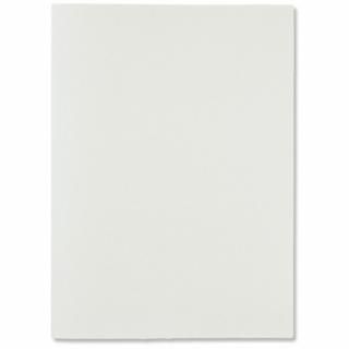 �ץ饹 2WAY�ۥ����FL-116CH A4/A3 �ۥ磻�� FL-116CH WH