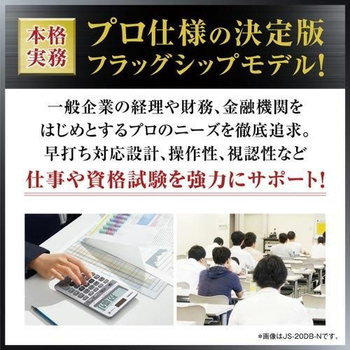 カシオ計算機 本格実務電卓 日数・時間計算 １２桁 ＤＳ－２０ＤＣ－Ｎ