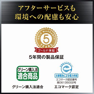 カシオ計算機 本格実務電卓 日数・時間計算 １４桁 ＤＳ－４０ＤＣ DS