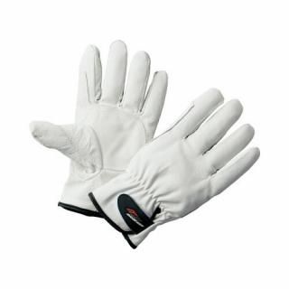 ߥ˥ݥ졼󡡥եåȥ󥳥եȡꡡͥڳ׼ޡ