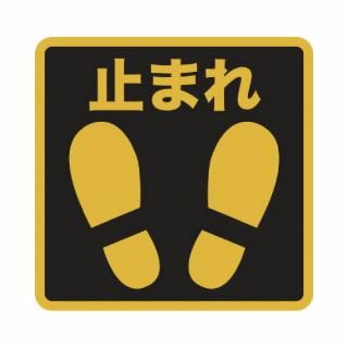 �ȥ饹���滳���ץ��ȥΥ󥹥�åף�������������������ɽ�����ơ��ߤޤ졡�ԣУΣӣ�������