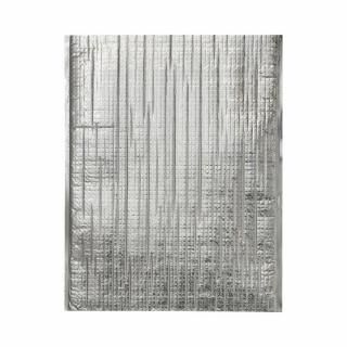 アートナップ　保冷パック　平袋　Ｌサイズ　５枚入　ＴＳ－３６