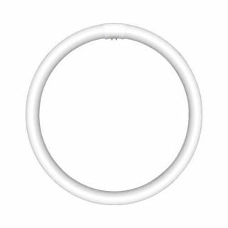 東芝ライテック　環形蛍光灯　メロウＺ　プライド２　４０形　昼白色　ＦＣＬ４０ＥＮＣ／３８ＰＤＺ