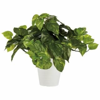 ֺ̲ ͹ ݥȥ֥å 90240 