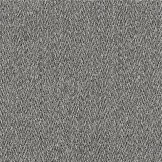 ߥΥ 륫ڥå ECOS LX-1901 20 